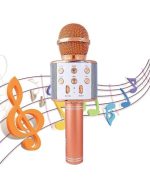 میکروفون اسپیکر مدل WS-858