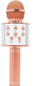 میکروفون اسپیکر مدل WS-858 - Image 9