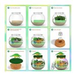 کیت ساخت تراریوم دایناسور برای کودکان مدل ‎Dino Terrarium برند LAOESE - Image 5