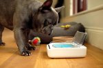 ظرف غذای سگ و گربه Sure Petcare - SureFeed ظرفیت 1 لیتری - Image 5