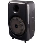اسپیکر بلوتوثی رم و فلش خور Greatnice GTS-1802 + میکروفون - Image 6
