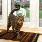 درب هوشمند تردد سگ و گربه فلپ میکروچیپ Sure Petcare SureFlap - Image 5