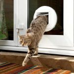 درب هوشمند تردد سگ و گربه فلپ میکروچیپ Sure Petcare SureFlap - Image 6