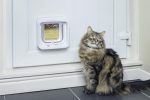 درب تردد حیوانات سور فلپ Sure Petcare SureFlap Microchip مدل IDSCFWT - Image 6