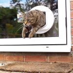 درب تردد سگ و گربه SureFlap Sure Petcare DualScan Microchip - Image 5