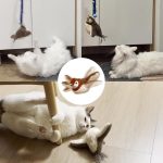 اسباب‌بازی موزیکال شارژی حیوان خانگی پرنده برای گربه ها - Image 8