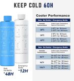 یخچال خنک کننده دارو و انسولین DISONCARE Odyssey 60H - تصویر 5