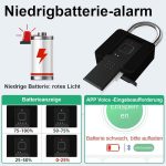 قفل هوشمند اثر انگشت Eseesmart مدل P11BF - Image 6