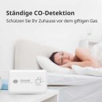 دتکتور مونوکسید کربن برند WISUALARM - Image 2
