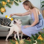 اسباب‌ بازی‌ سرگرمی سگ برند PETGEEK (استوک) - Image 3