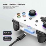 دسته بازی بی سیم ECHTPower Switch Pro - Image 4
