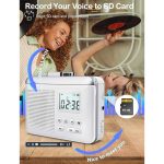 پخش‌ کننده و مبدل کاست واکمن قابل شارژ مدل CR-381 - Image 6