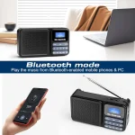 رادیو دیجیتال قابل حمل Gallypek DAB-P11 - Image 6