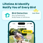 غذا دهنده هوشمند پرندگان برند Birdfy - Image 2