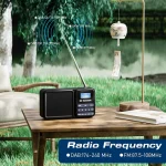 رادیو دیجیتال قابل حمل Gallypek DAB-P11 - Image 4