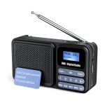 رادیو دیجیتال قابل حمل Gallypek DAB-P11